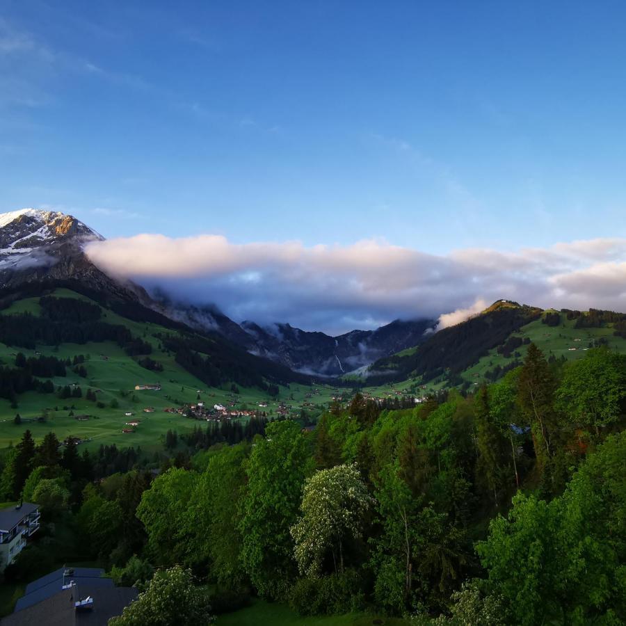 Fewo Fernsicht Crystal Adelboden Esterno foto